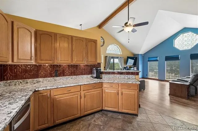 175 Blackbird Drive Bailey, CO 80421