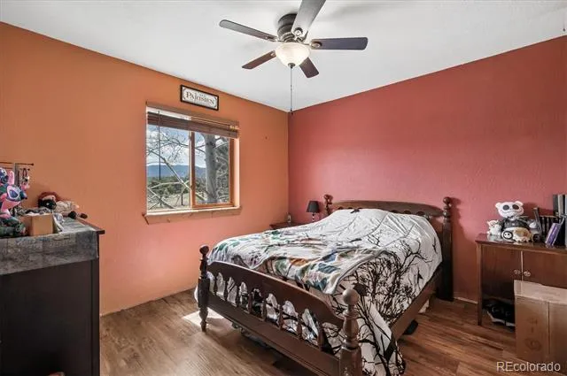 175 Blackbird Drive Bailey, CO 80421