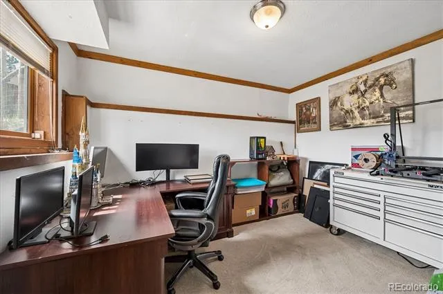 175 Blackbird Drive Bailey, CO 80421