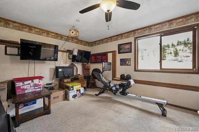 175 Blackbird Drive Bailey, CO 80421