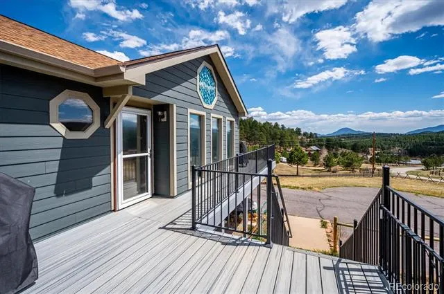 175 Blackbird Drive Bailey, CO 80421