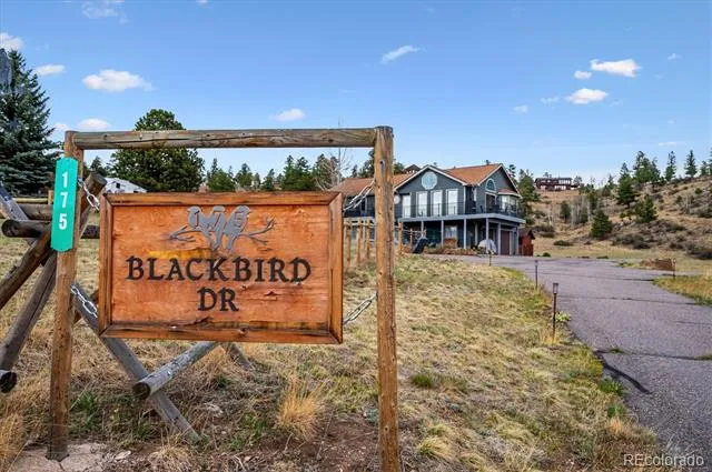 175 Blackbird Drive Bailey, CO 80421