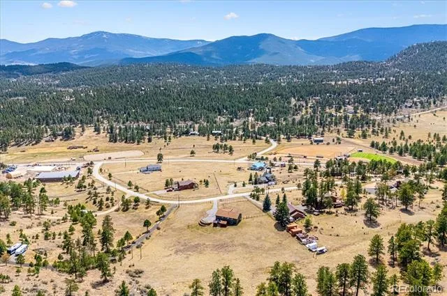 175 Blackbird Drive Bailey, CO 80421