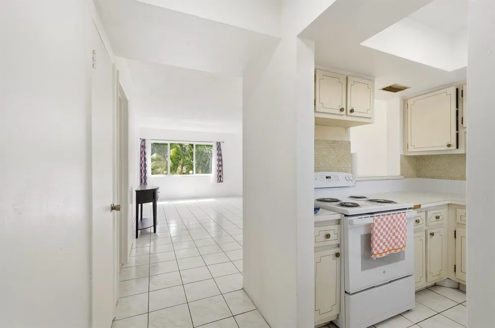 1333 E HALLANDALE BEACH BOULEVARD #335 Hallandale Beach, FL 33009