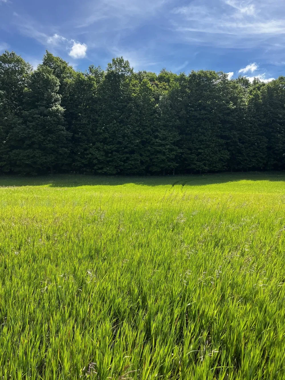 7745 Kingsley Road Paradise Township, MI 49649