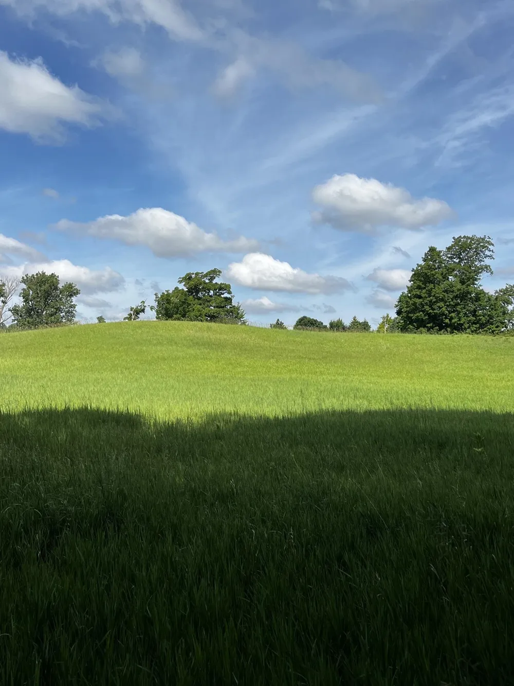 7745 Kingsley Road Paradise Township, MI 49649