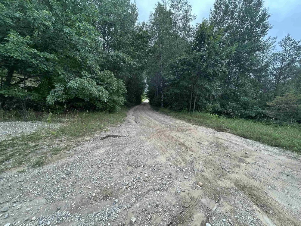 4801 Shinn Drive Chestonia Township, MI 49659