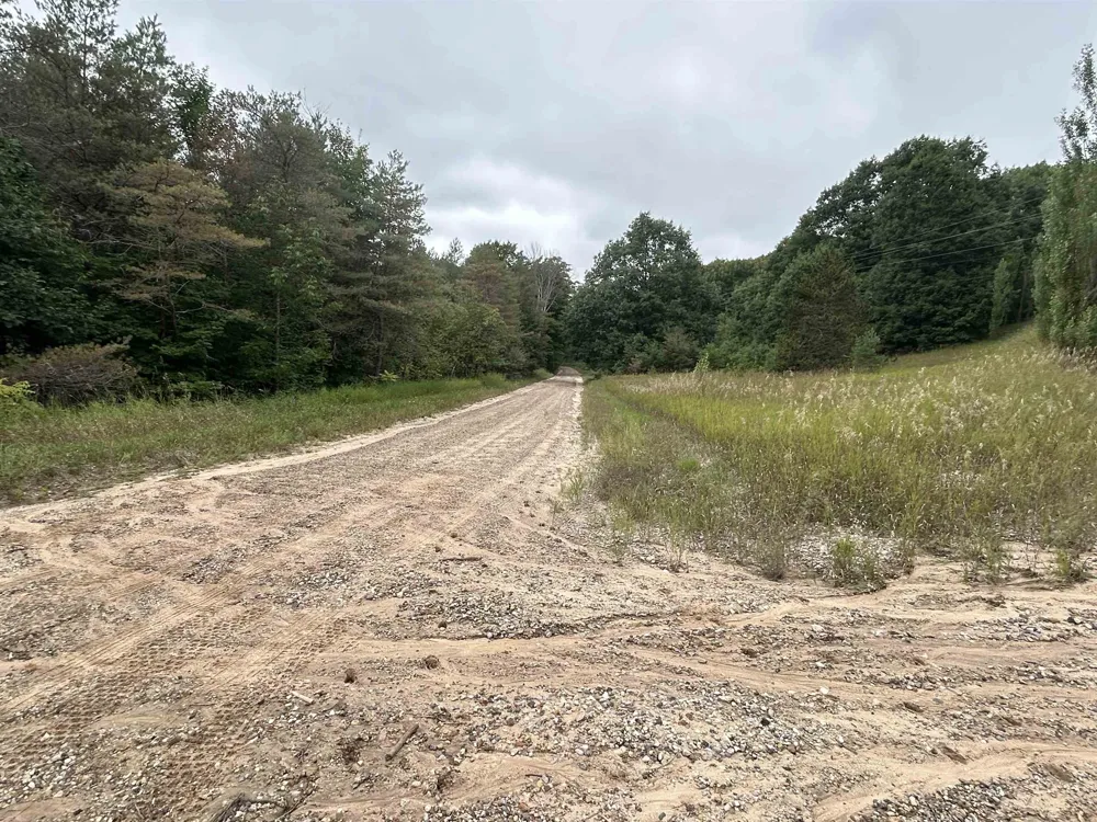 4801 Shinn Drive Chestonia Township, MI 49659