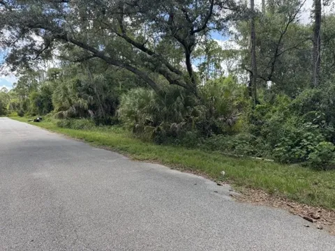 SCANLON AVENUE