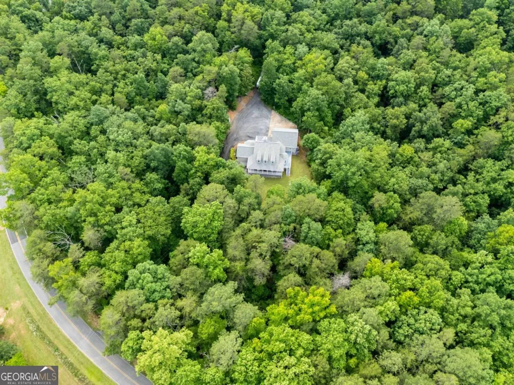 546 Mount Pleasant RD NE Fairmount, GA 30139