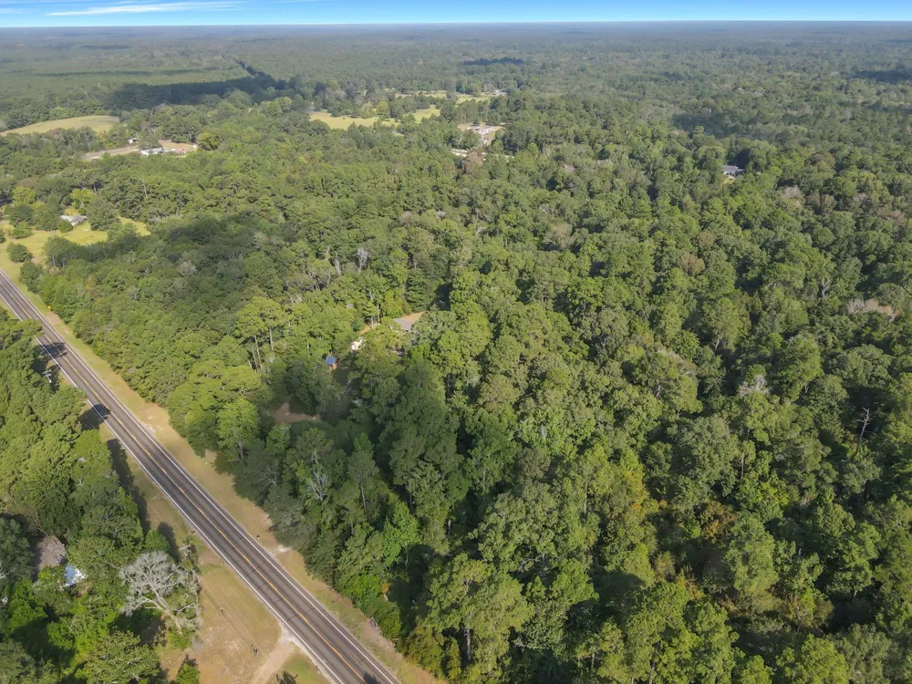 11431 Fm 943 Livingston, TX 77351