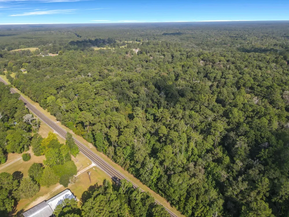 11431 Fm 943 Livingston, TX 77351