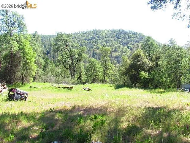 17242 Philadelphia Rd. Twain Harte, CA 95383