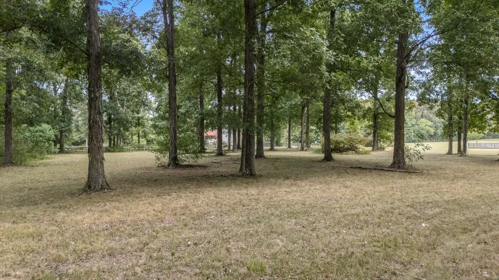 223 Rich Rd Unionville, TN 37180