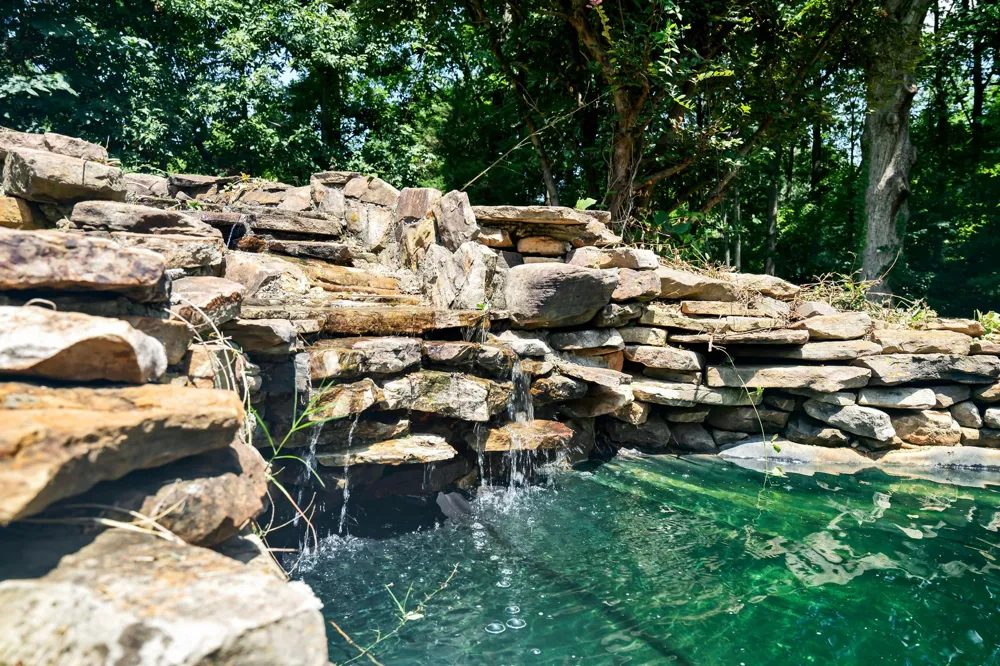 1245 Weeks Drive NE Cleveland, TN 37312