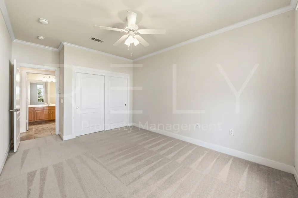808 Armstrong Drive Georgetown, TX 78633