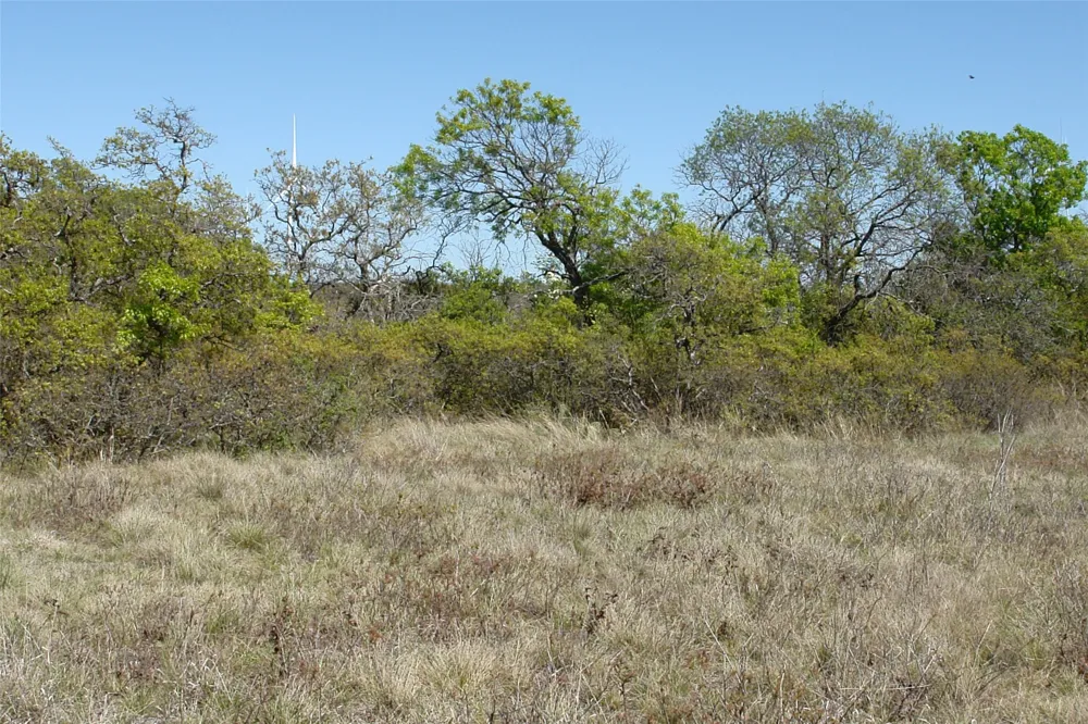 92 P.R. 135 Goldthwaite, TX 76844