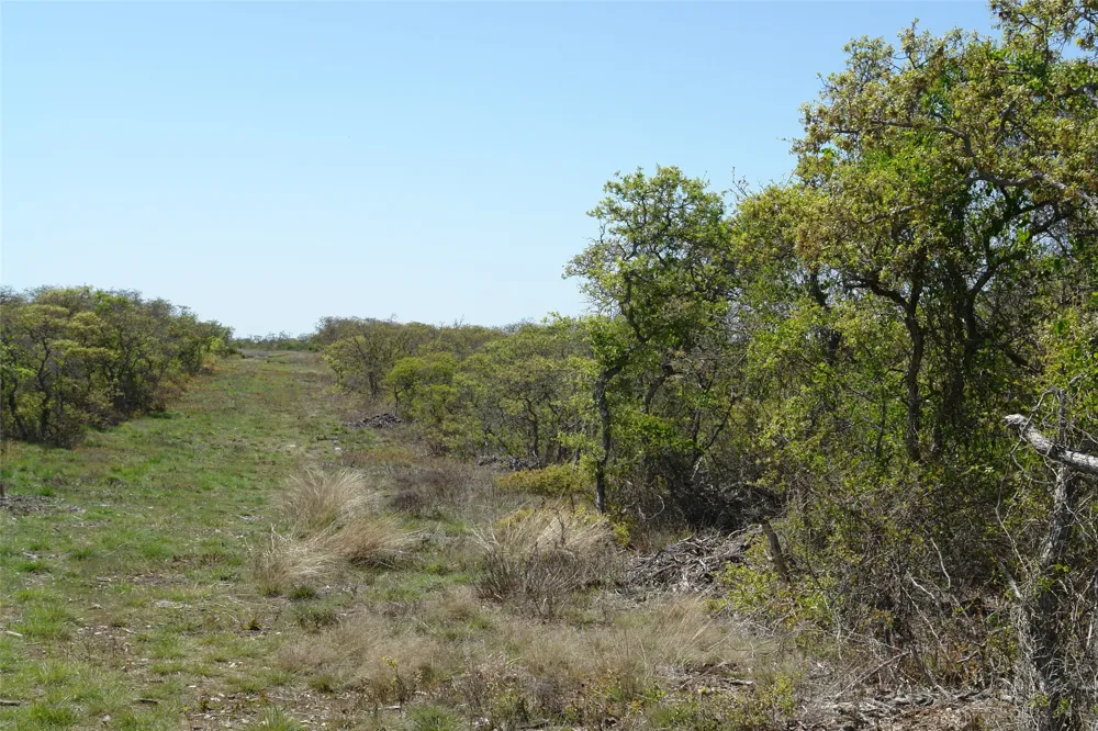 92 P.R. 135 Goldthwaite, TX 76844