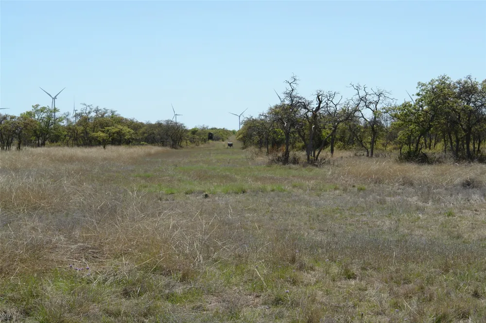92 P.R. 135 Goldthwaite, TX 76844