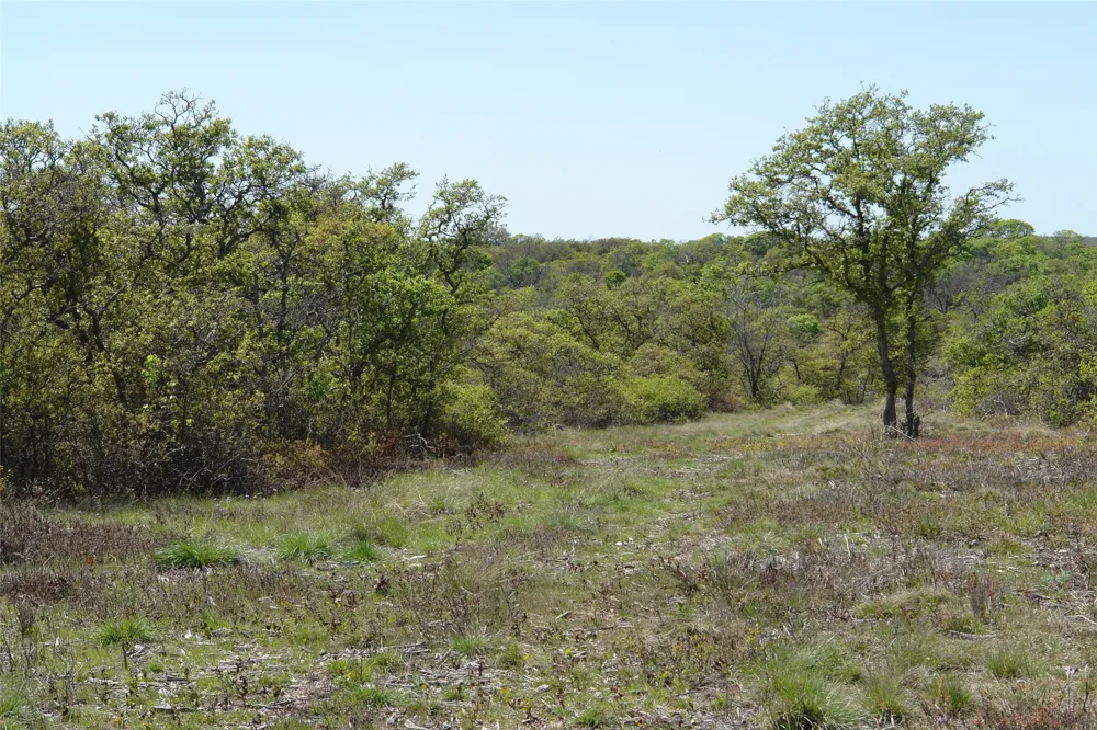 92 P.R. 135 Goldthwaite, TX 76844