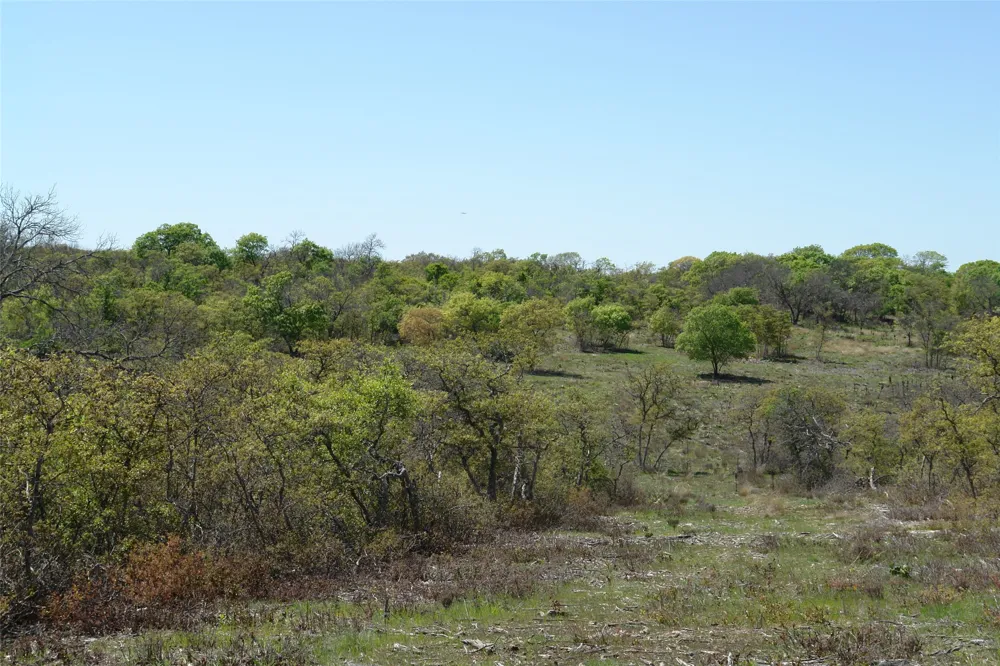 92 P.R. 135 Goldthwaite, TX 76844
