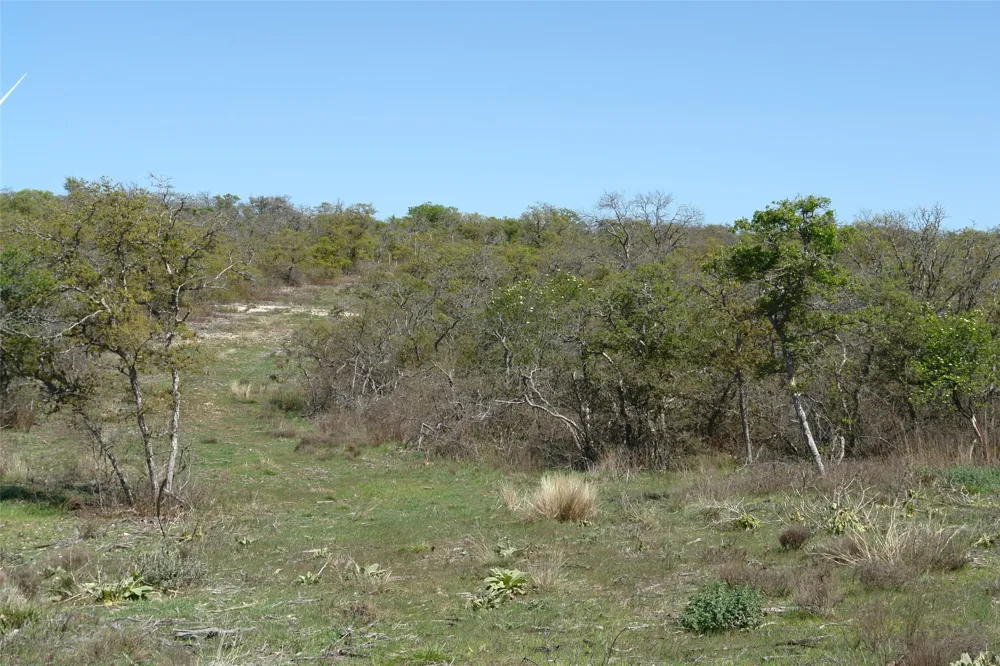 92 P.R. 135 Goldthwaite, TX 76844