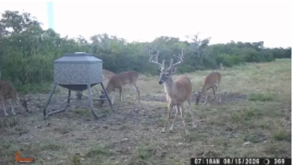 92 P.R. 135 Goldthwaite, TX 76844