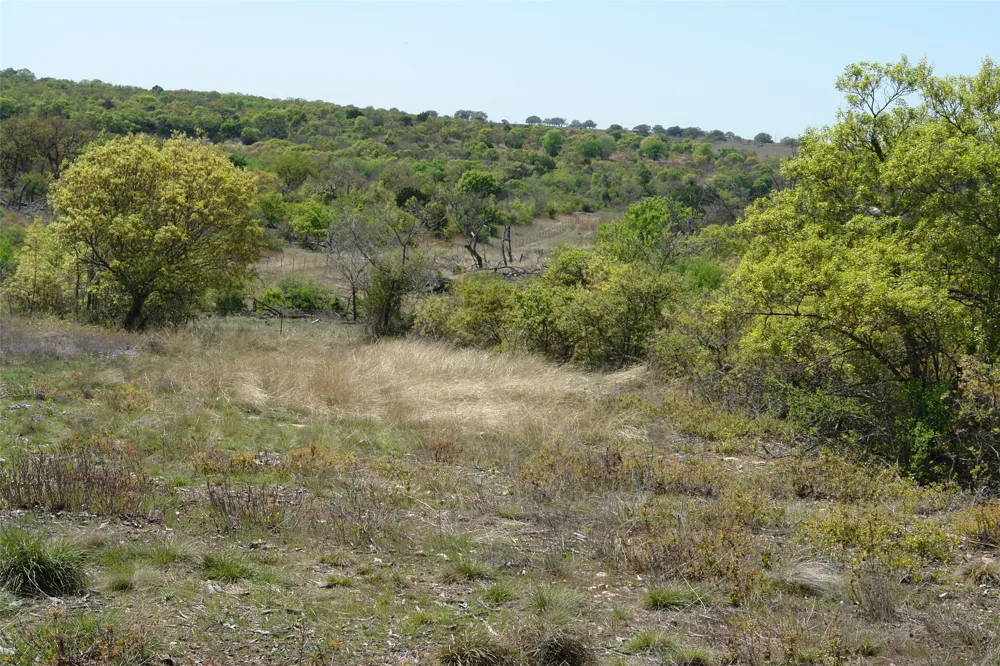 92 P.R. 135 Goldthwaite, TX 76844