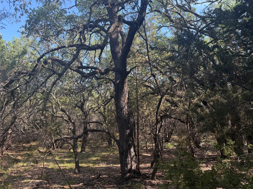 County Road 2644 Lometa, TX 76853