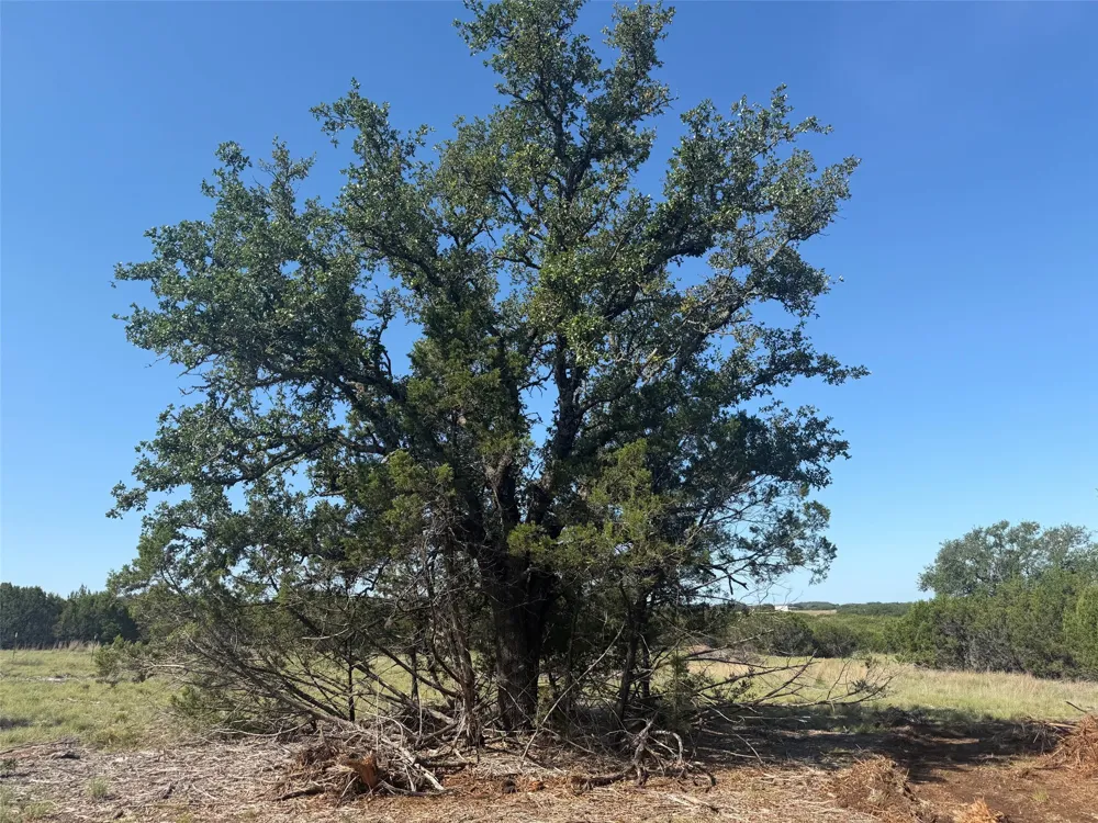 County Road 2644 Lometa, TX 76853