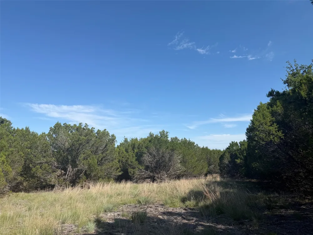 County Road 2644 Lometa, TX 76853