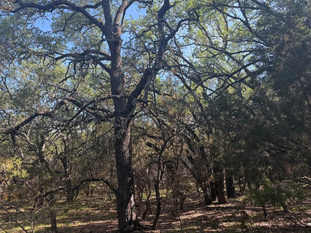 County Road 2644 Lometa, TX 76853