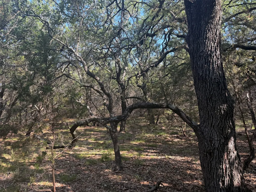 County Road 2644 Lometa, TX 76853