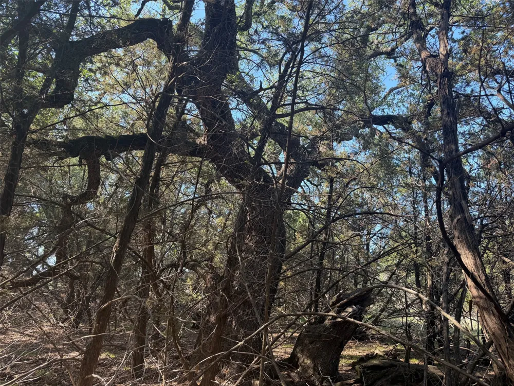 County Road 2644 Lometa, TX 76853