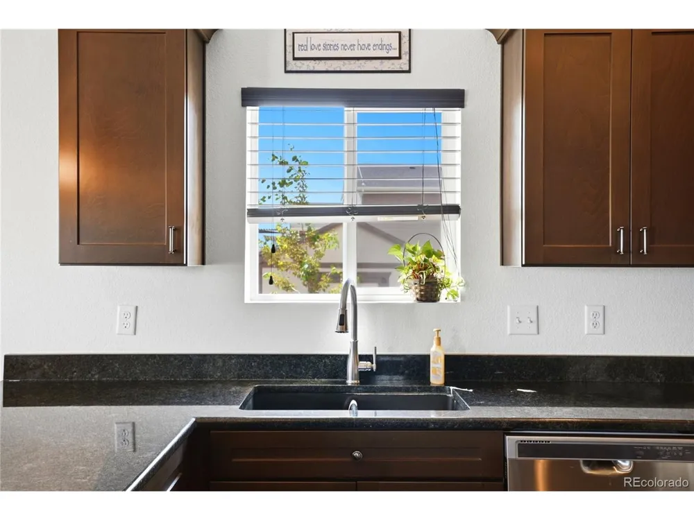 11490 E 162nd Drive Brighton, CO 80602