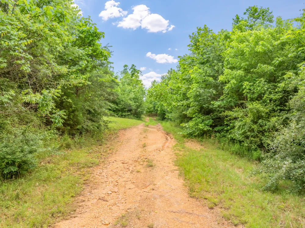0 Grigsby Hollow Rd Kingston, TN 37763