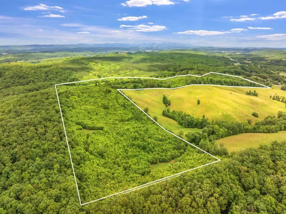 0 Grigsby Hollow Rd Kingston, TN 37763