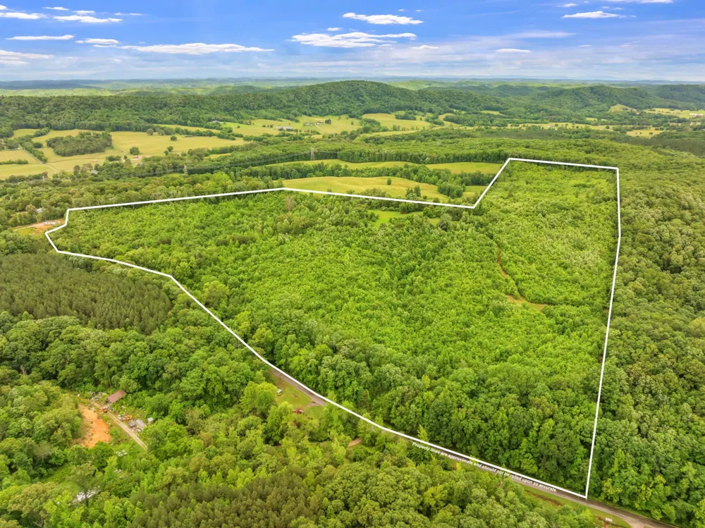 0 Grigsby Hollow Rd Kingston, TN 37763
