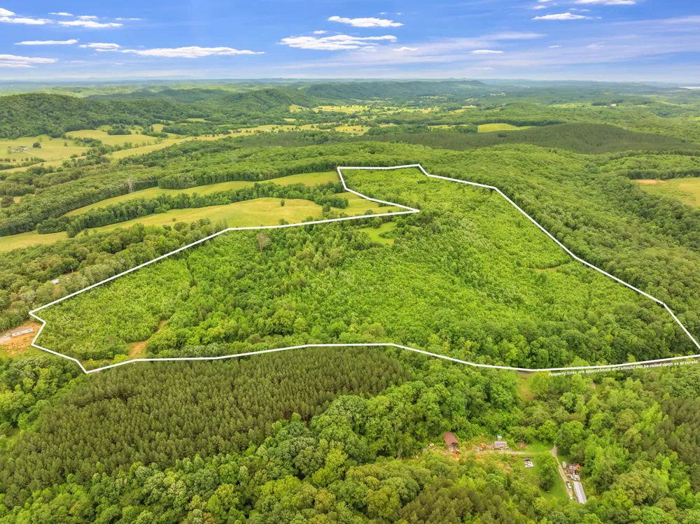 0 Grigsby Hollow Rd Kingston, TN 37763