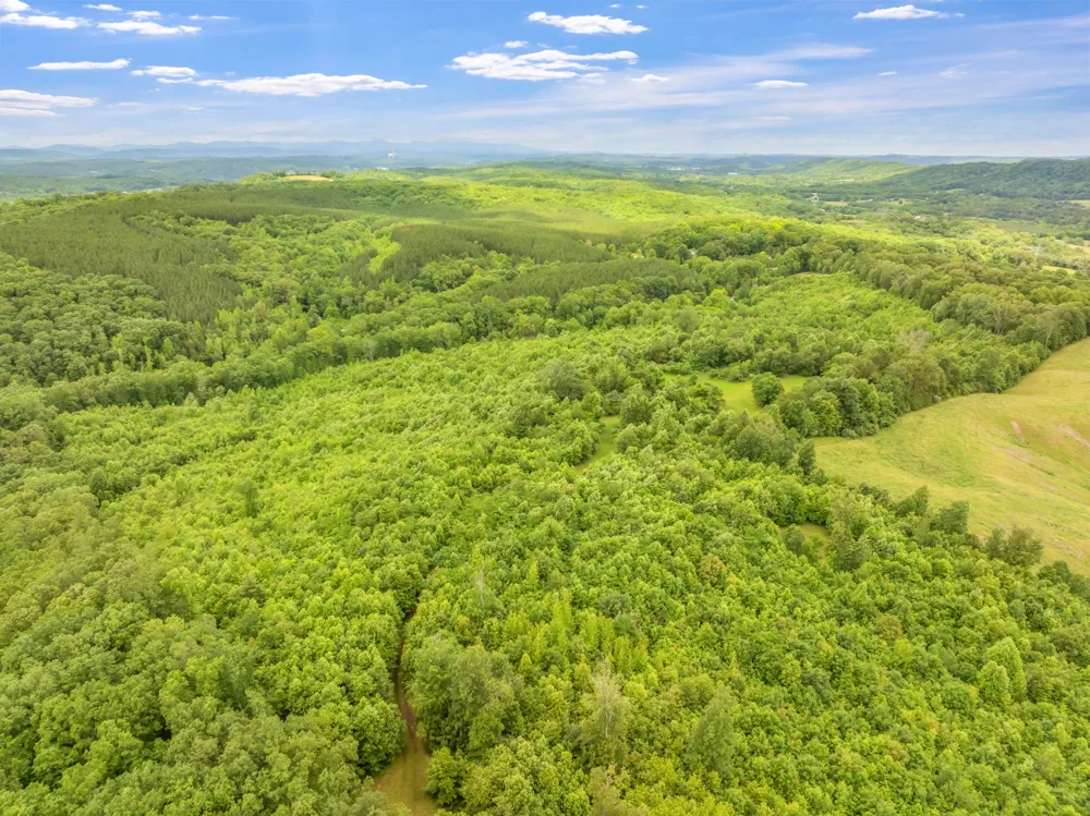 0 Grigsby Hollow Rd Kingston, TN 37763