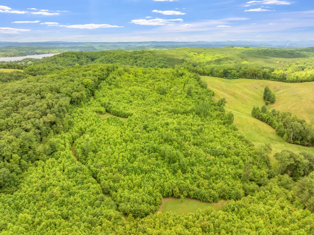 0 Grigsby Hollow Rd Kingston, TN 37763