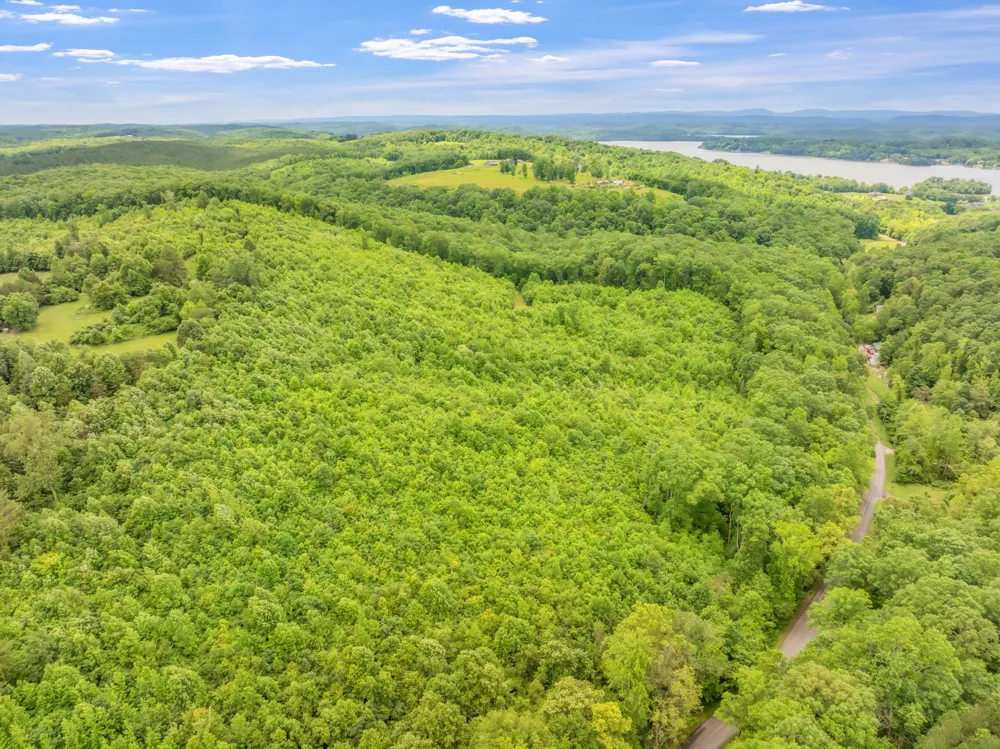 0 Grigsby Hollow Rd Kingston, TN 37763