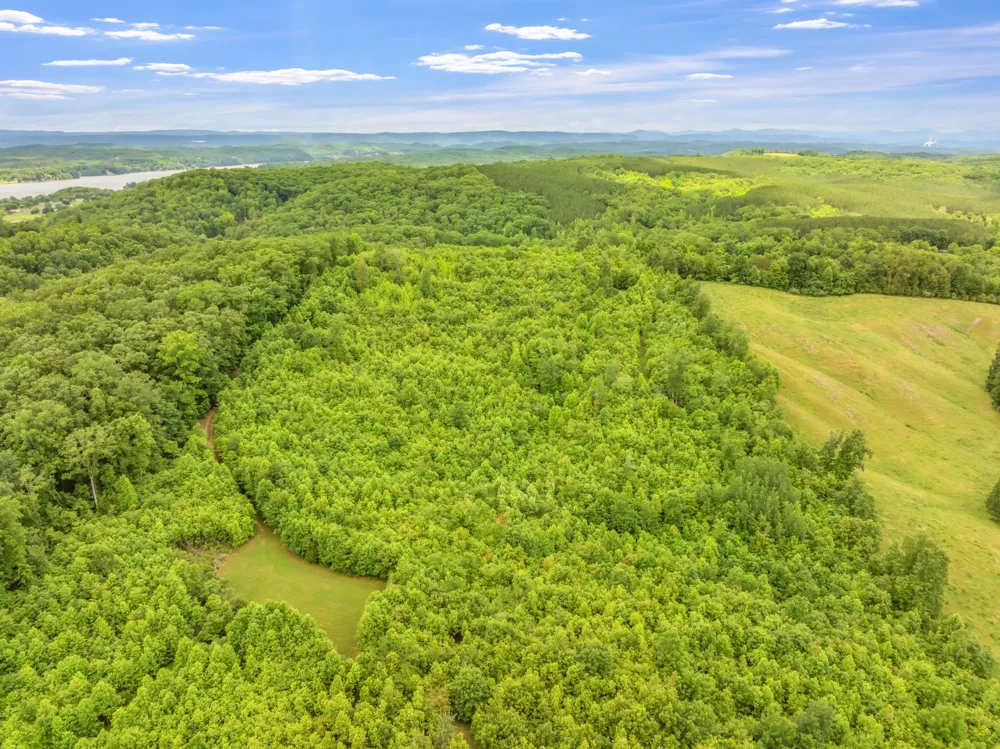 0 Grigsby Hollow Rd Kingston, TN 37763