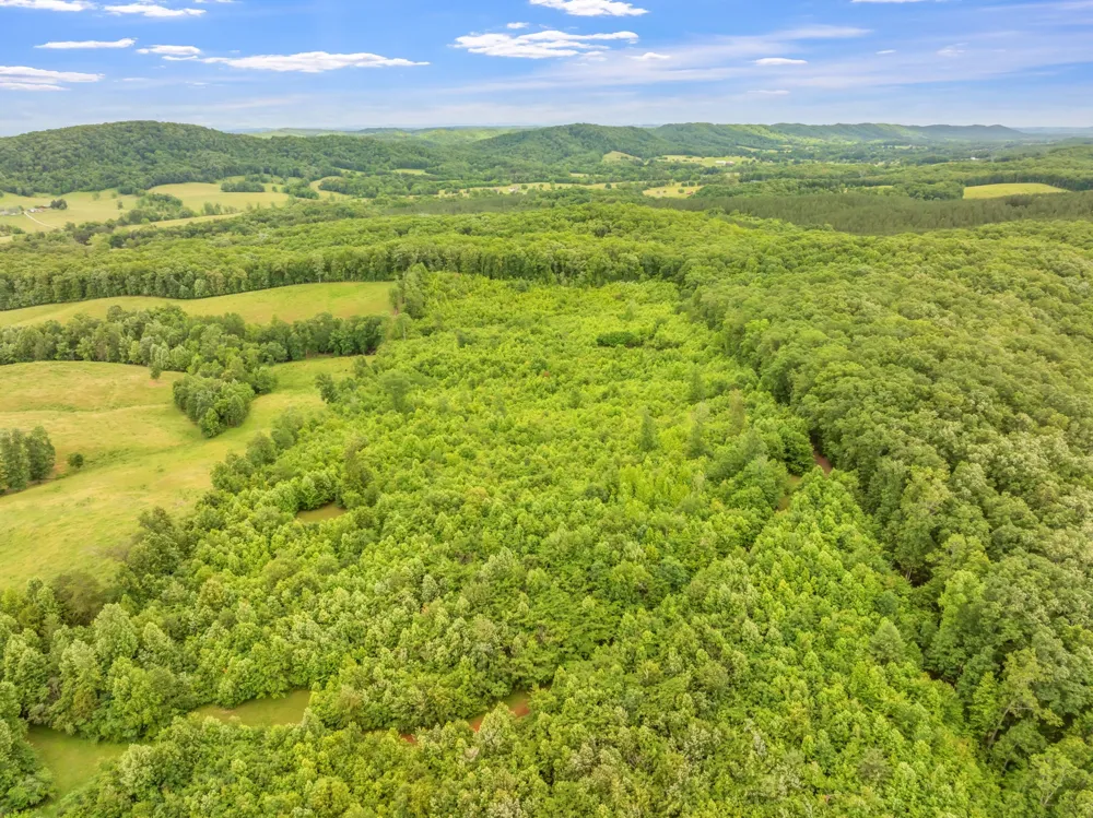 0 Grigsby Hollow Rd Kingston, TN 37763