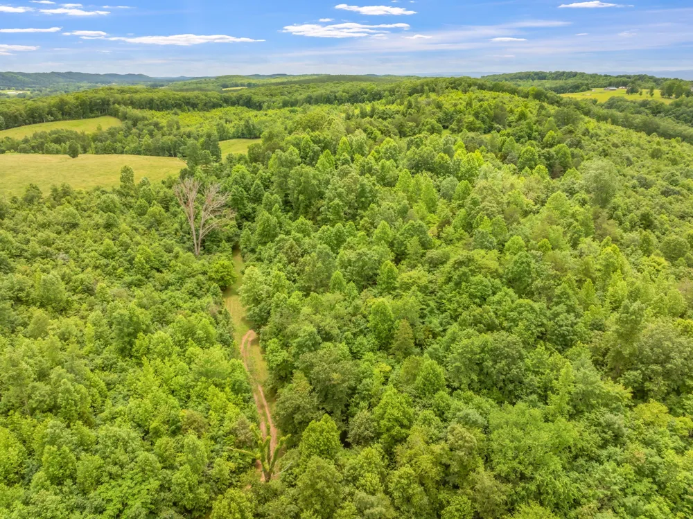 0 Grigsby Hollow Rd Kingston, TN 37763