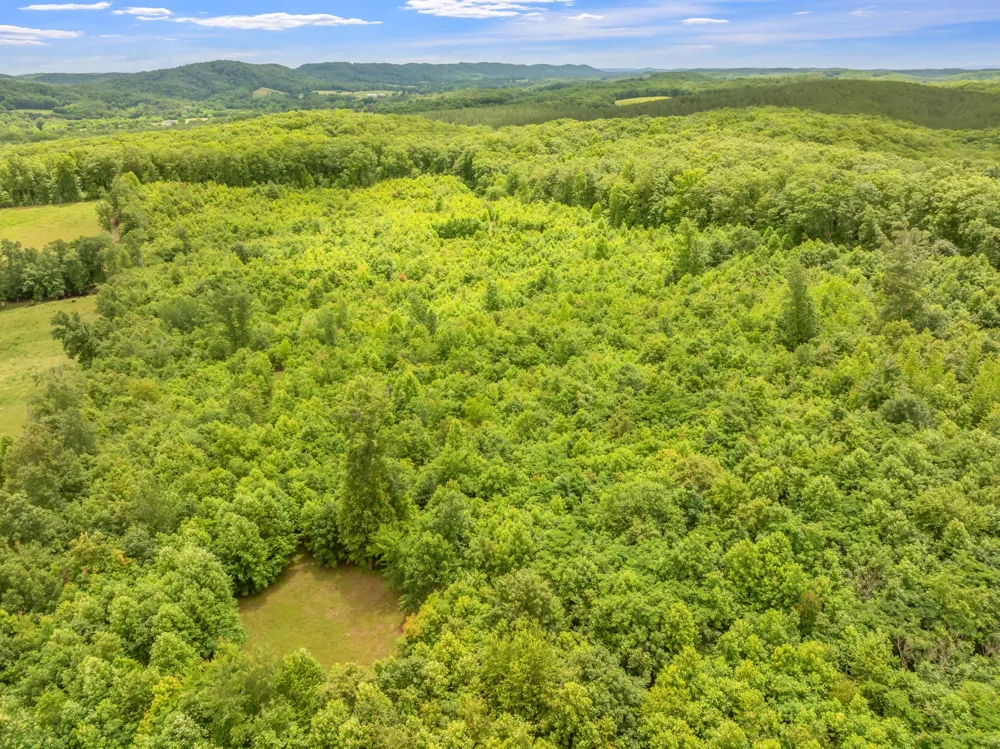 0 Grigsby Hollow Rd Kingston, TN 37763