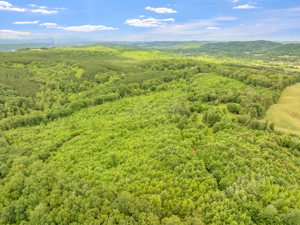 0 Grigsby Hollow Rd Kingston, TN 37763