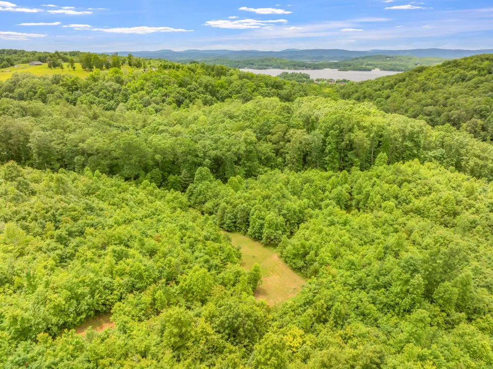 0 Grigsby Hollow Rd Kingston, TN 37763