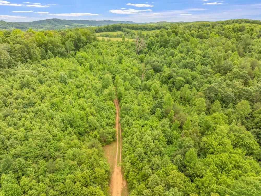 0 Grigsby Hollow Rd Kingston, TN 37763