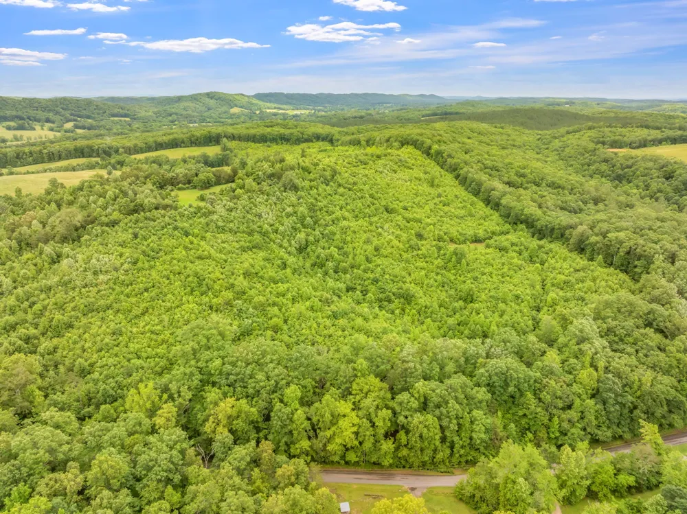 0 Grigsby Hollow Rd Kingston, TN 37763